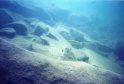 Flaming Gorge underwater