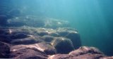 Flaming Gorge underwater