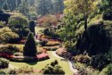 Butchart Gardens