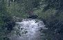 stream