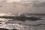 North Shore Oahu